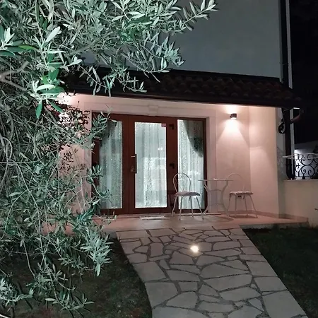 Birikina With Pool * Poreč